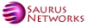 Saurus Networks logo